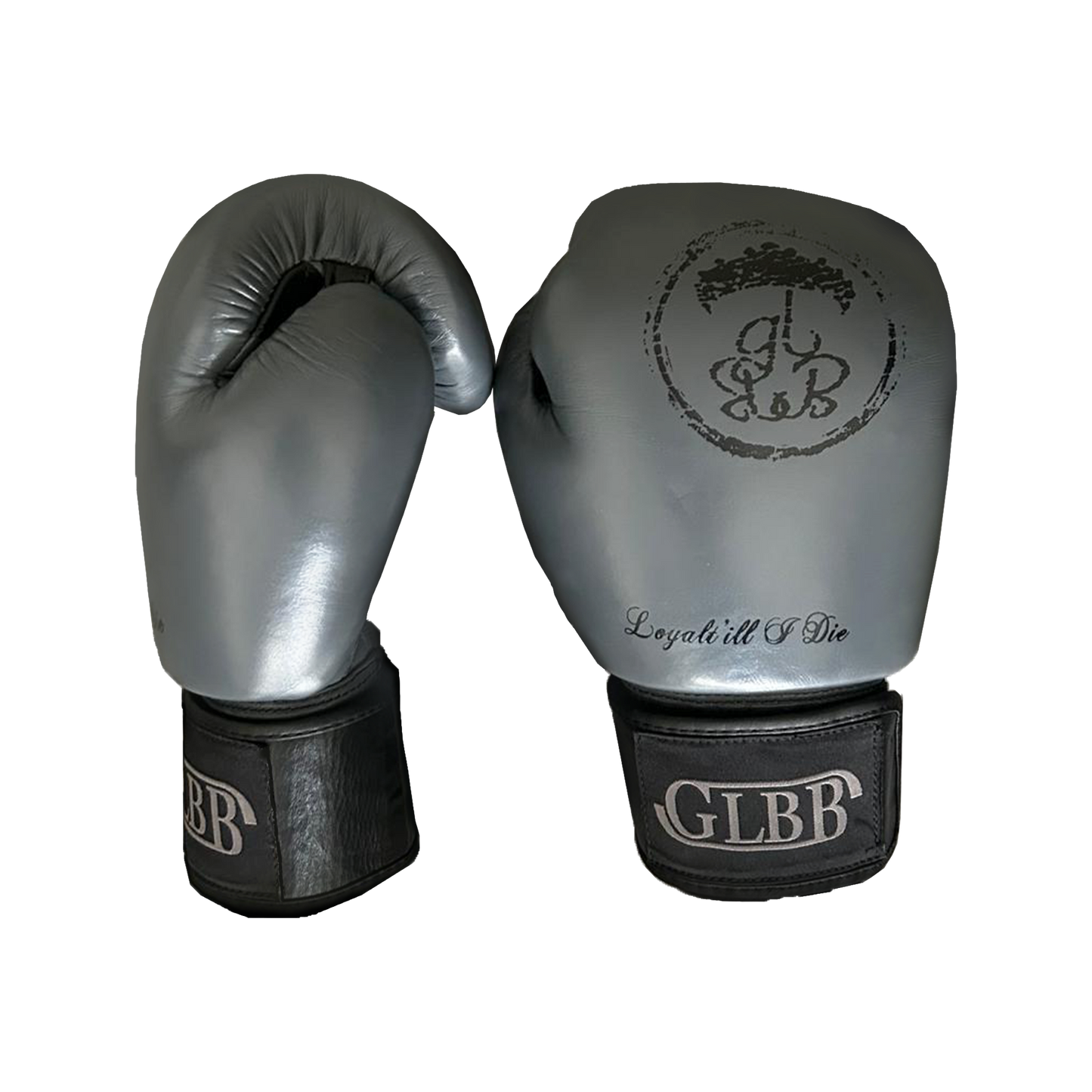 Glbb Boxing Gloves