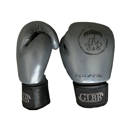 Glbb Boxing Gloves